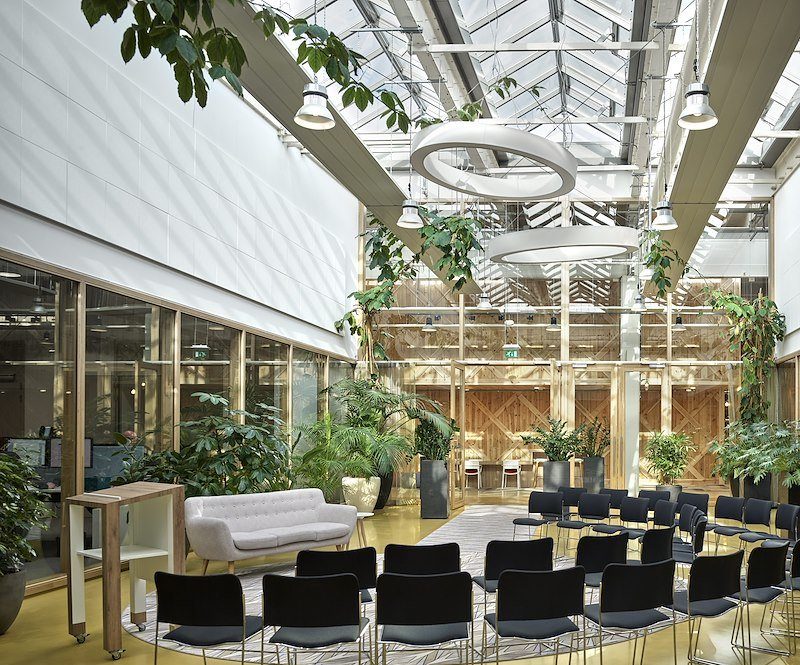 c507678f-72f8-47e3-9ec7-6fecc266ee45_800 (1)